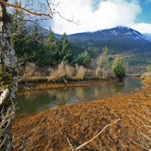 Estuary