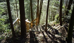 2.1.1 Trails2