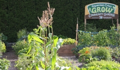 2.5 garden 2