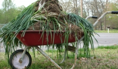 yardwaste