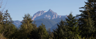 IMG 9012