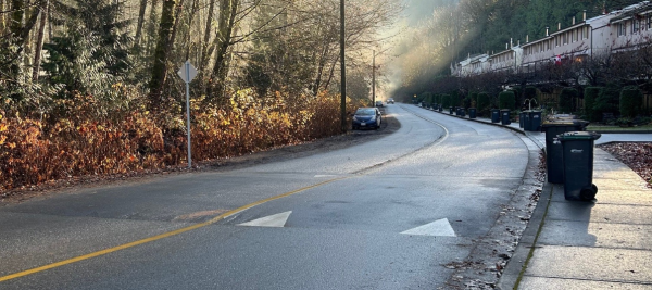 Speed hump on Valley Drive