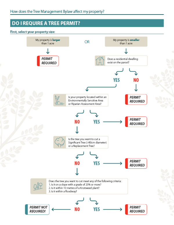 Yes no permit decision tree graphic