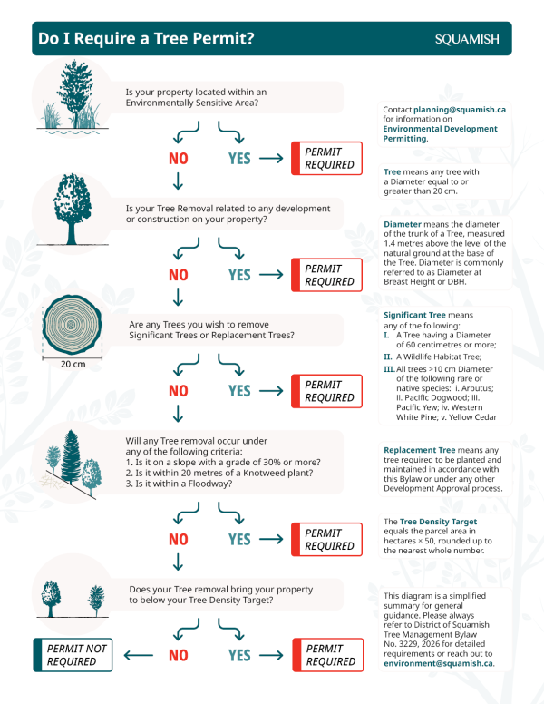 Infographic of the tree wizard below