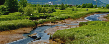 1.4.3 estuary 1