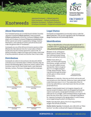 Knotweed fact sheet