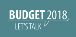 2018 Budget icon