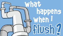 feature flush