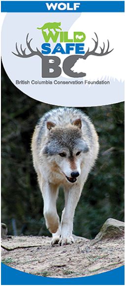 wolf wildsafe brochure cover