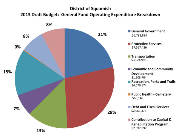 2013 Draft Budget General fund breakdown
