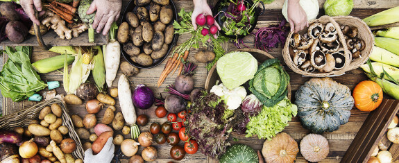 aerial view of fresh organic various vegetable on 2026 03 18 11 45 36 utc