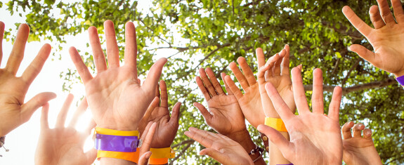 people raise arms together underneath green trees 2026 03 25 00 55 23 utc