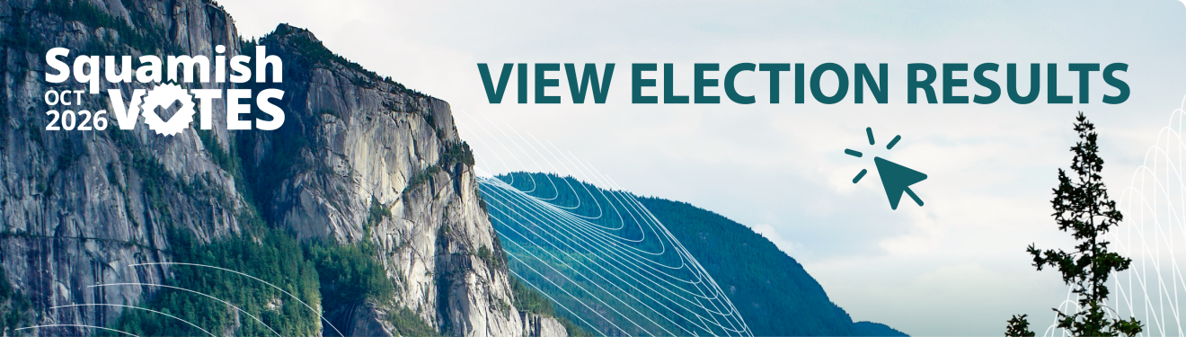 2026 Municipal Election Information