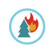 All Icons Working filesNEW forest fires