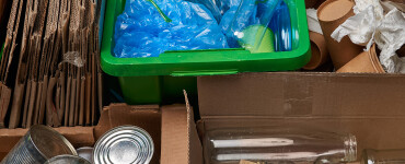 sorted trash of cardboard glass and plastic bottl 2024 11 18 00 04 25 utc